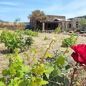 Biodammuso Scauri (Sicily)